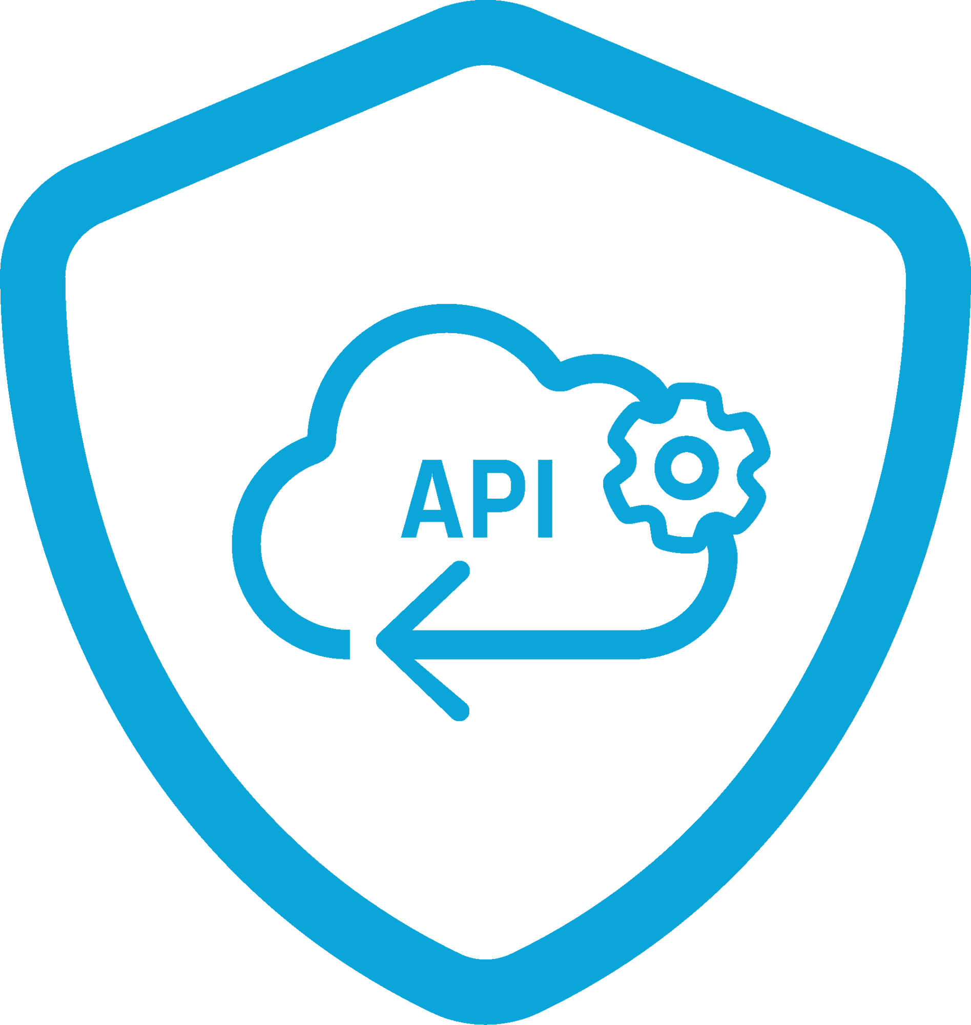 API Scanning blauw-1